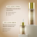 Own Brand 4pcs Facial Set Peptide Vitamin C B5 Hyaluronic Acid Niacinamide Retinol Firming Anti-Aging Anti-Wrinkle Skincare Set