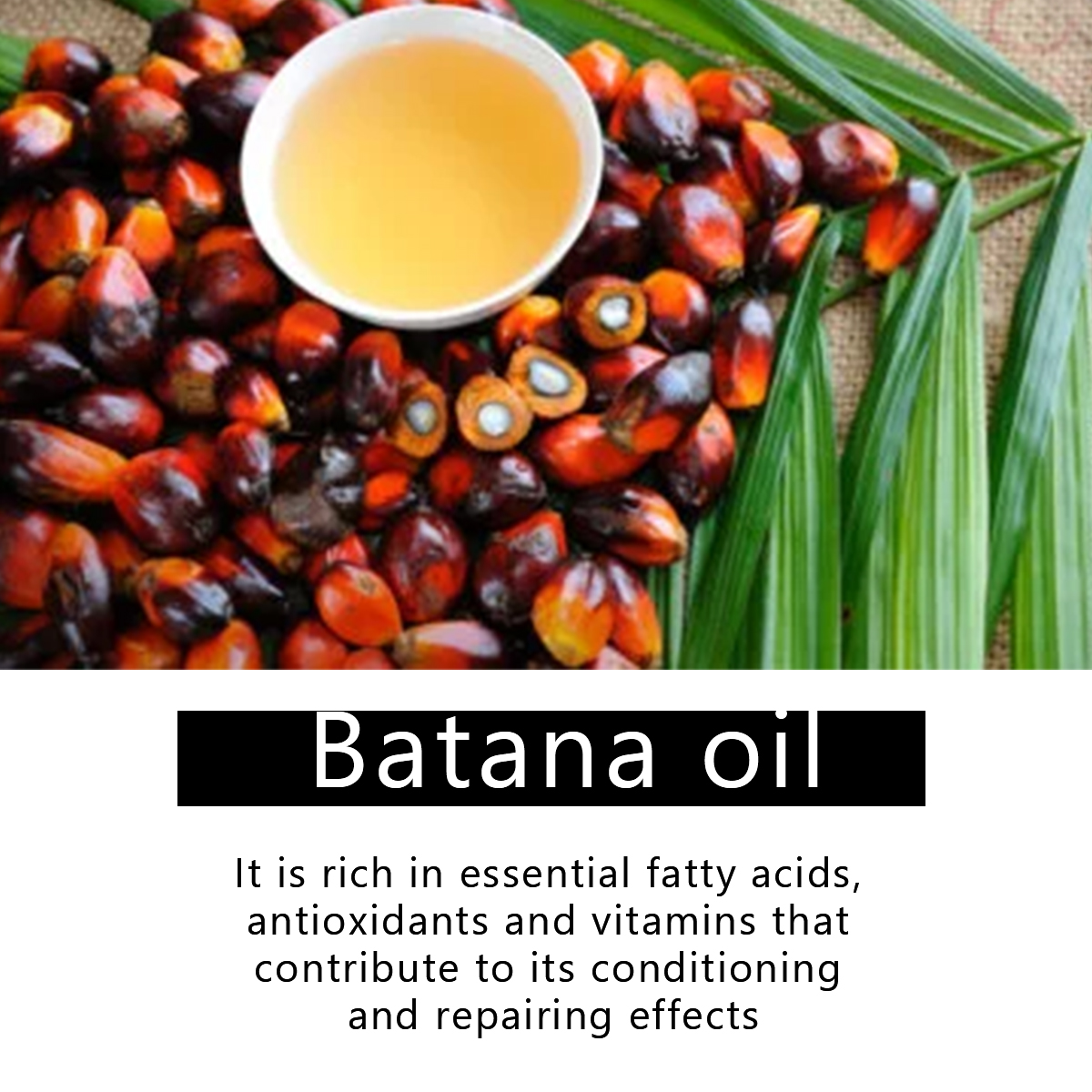 Organic Vegan Batana Hair Oil