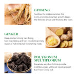 Private Label Ginger Rosemary Hair Regrowth Oil