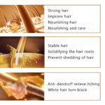 Private Label Ginseng Angelica Ginger Hair Regrowth Serum